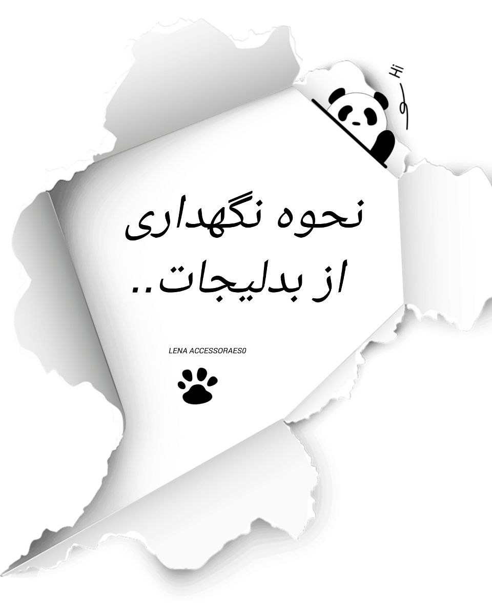 نکات مهم نگهداری بدلیجات